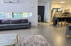 וילה ורטו 19