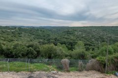 וילת החורש 40