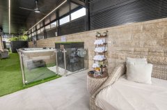 אחוזת ליאור בגפן 50