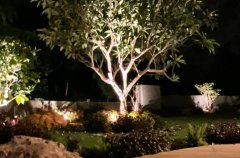 סאני קוסטאל וילה 48