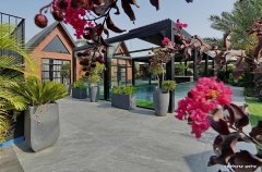 אחוזת קמפניה נירה 72