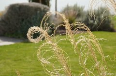 סאן ריזורט 62