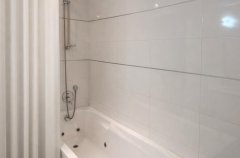 היערה הלבנה 11