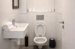 היערה הלבנה 14