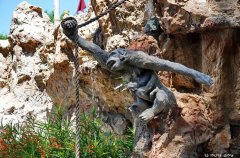 וילה אחוזת נתיב 36