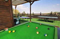 רפאלו דה גוטי 4