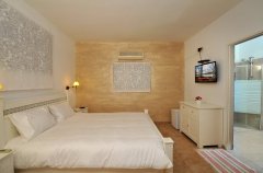 רפאלו דה גוטי 20