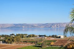 וילה מגדל 47