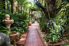 וילה דה קיסריה 66