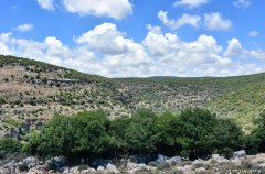 אחוזת נחל כזיב 20