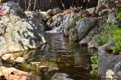 ברכתא מתחם נופש גלילי 25