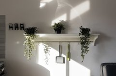 יוקרה בגליל דרנה 34