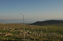 וילה וגאס 10
