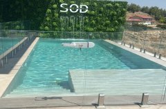 סוויט אוף דרימס 8