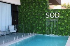 סוויט אוף דרימס 43