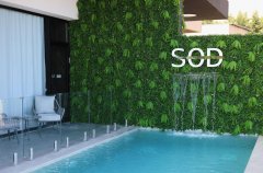 סוויט אוף דרימס 46