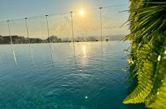 סוויט אוף דרימס 31