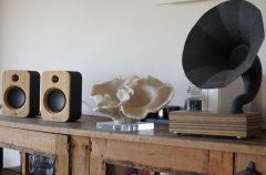 וילה אסנסיה 40