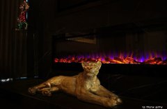 וילה אריאה גולד 61