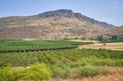 וילה ביאנקה 44