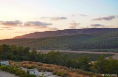 אחוזת יערה 20